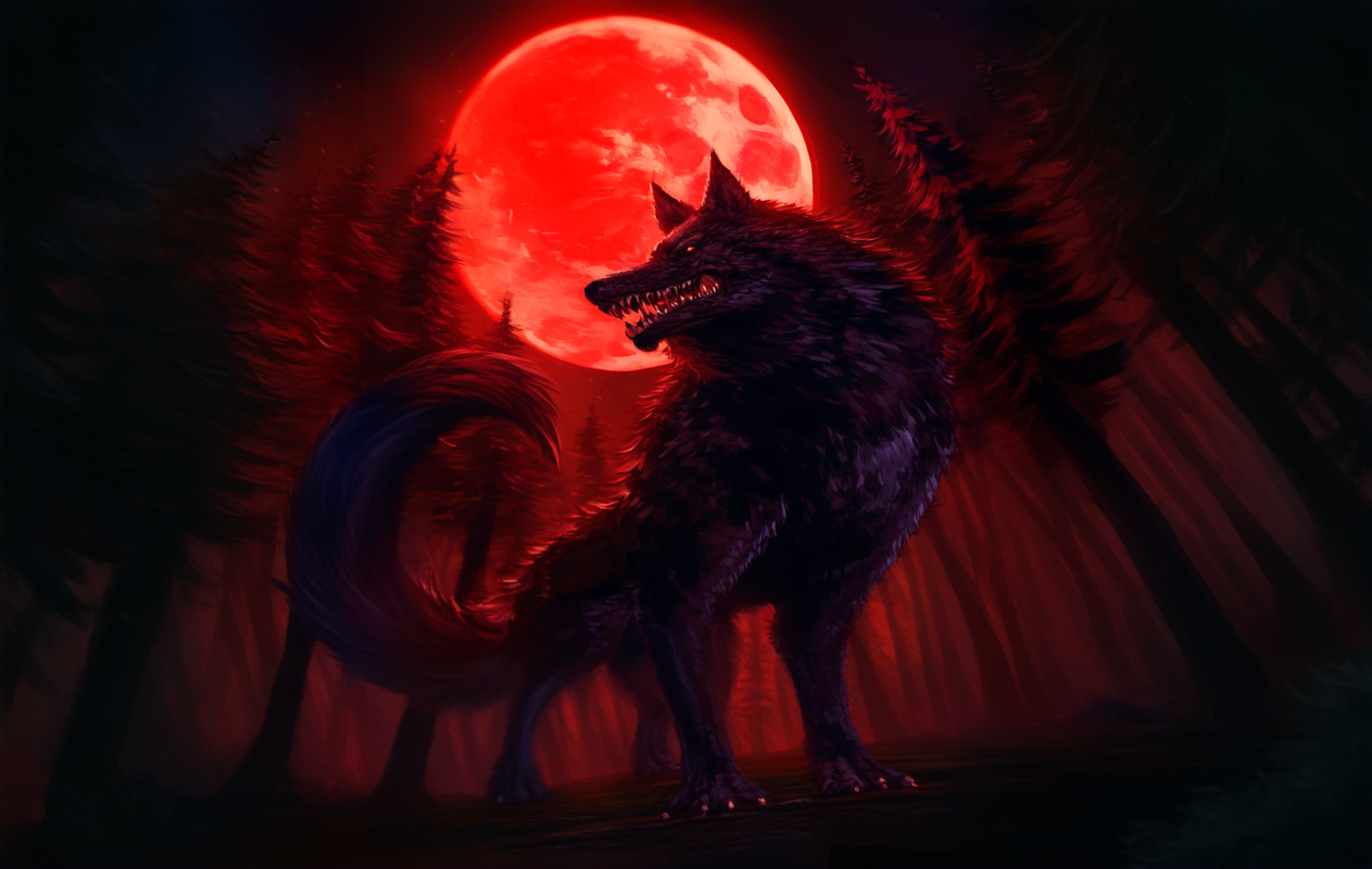 wolffull
