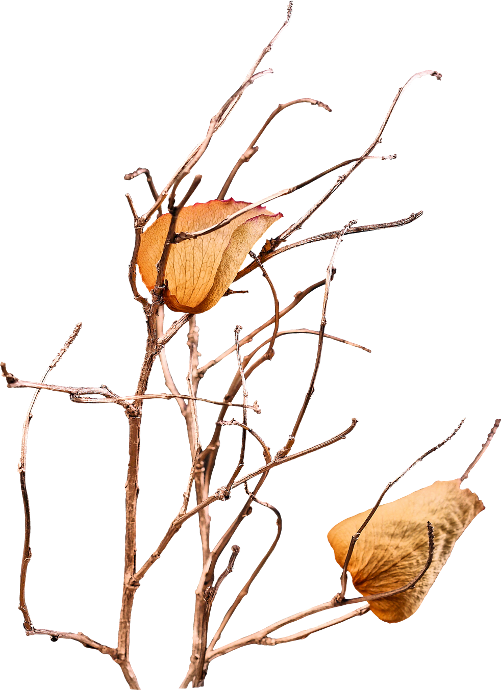 Autumn Witchery (121)