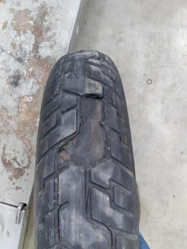 249402337_1007342823165003_568554274230137622_n