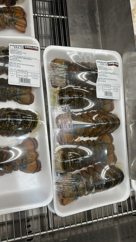 3F6E2D03-4682-4B9A-8A92-8582D442839A