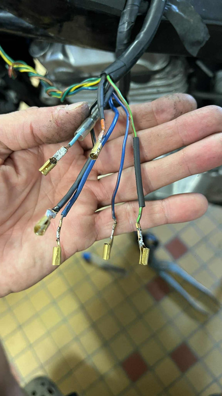 6315a165-81f0-4b64-9f26-1448b74a5823