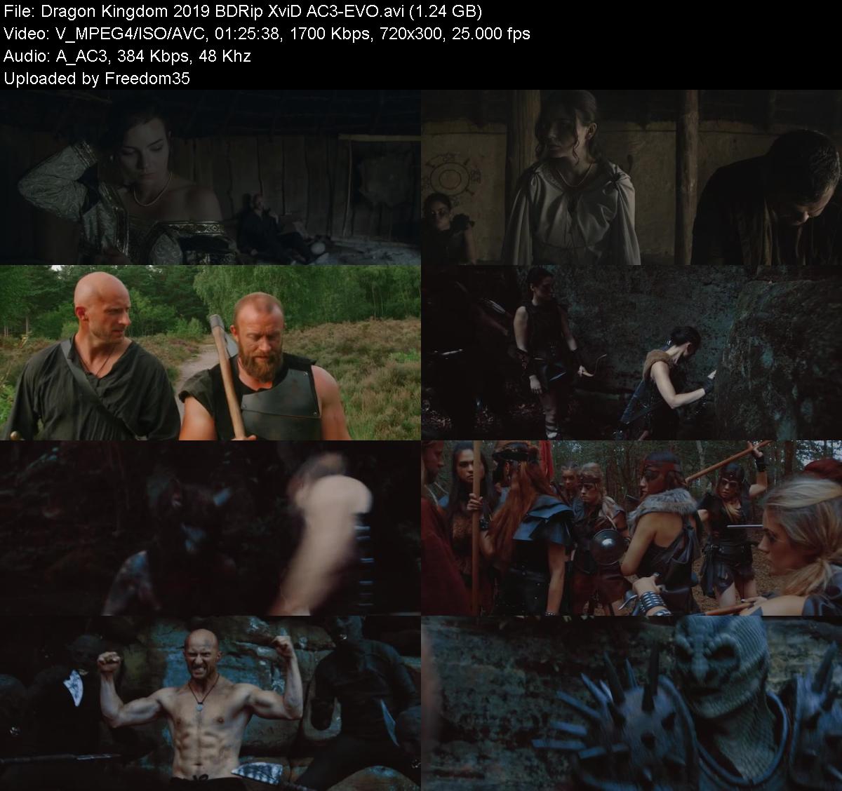 Dragon-Kingdom-2019-BDRip-Xvi-D-AC3-EVO.