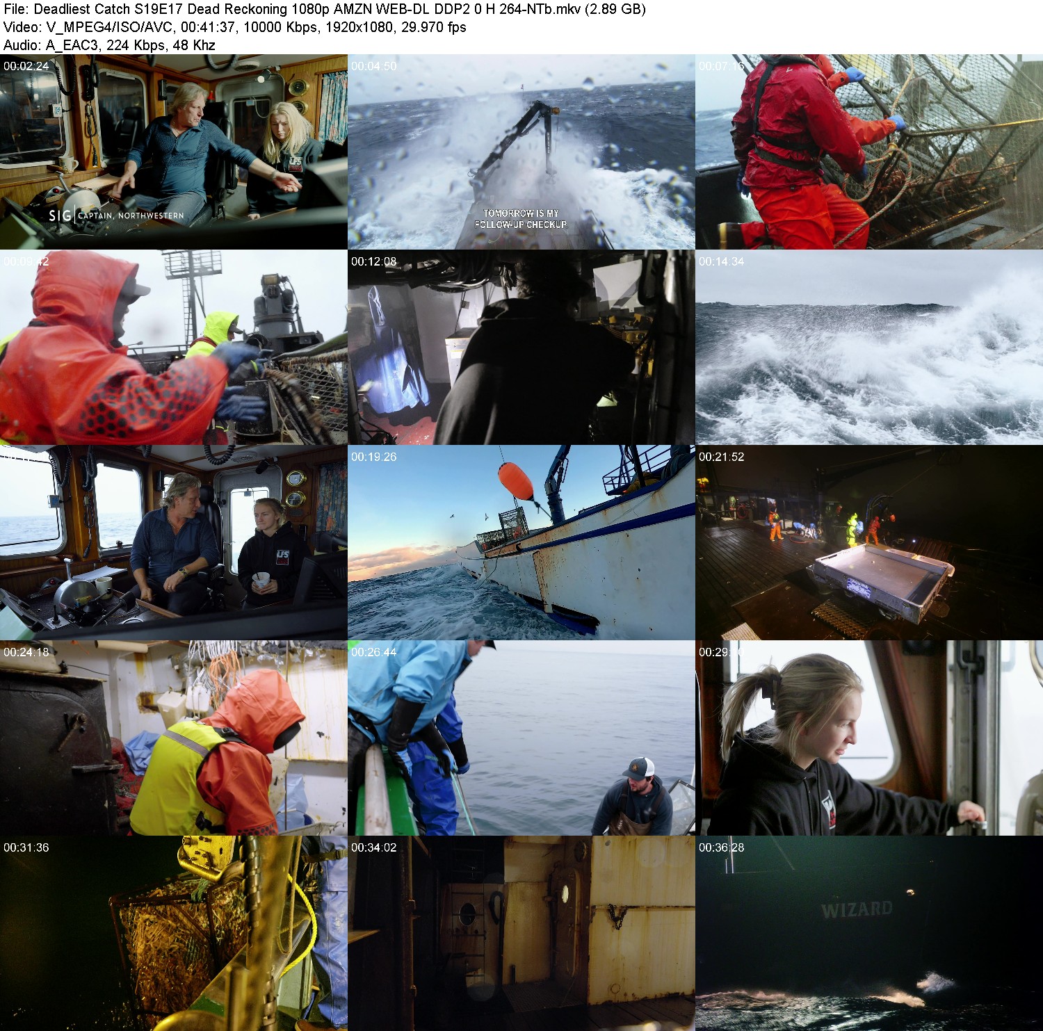 [Image: w82eq8zl6fpu.jpg]