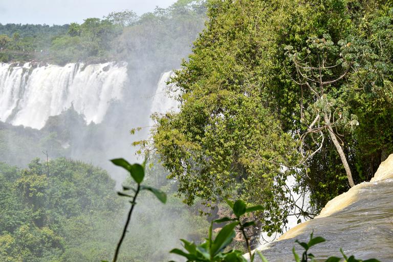 В джазе только девушки или аргентинско-бразильский калейдоскоп В джазе только девушки или аргентинско-бразильский калейдоскоп