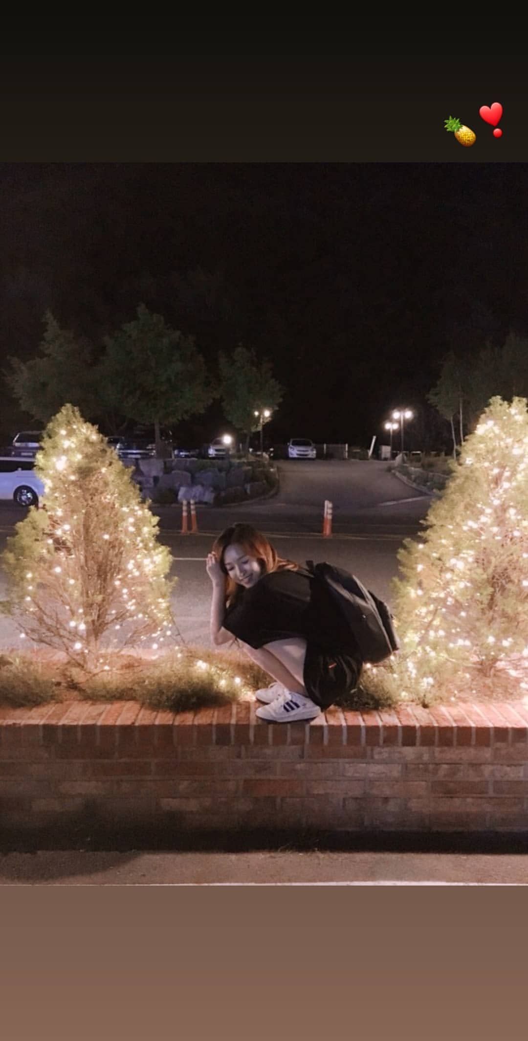 verbejina-1590166619-2314807978900287493