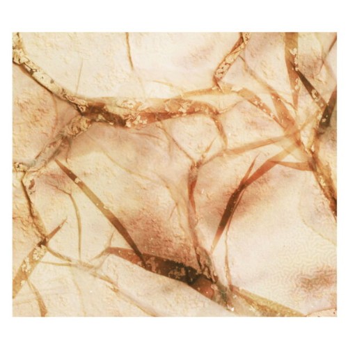 Kayla Painter - Tectonic Particles (2026)
