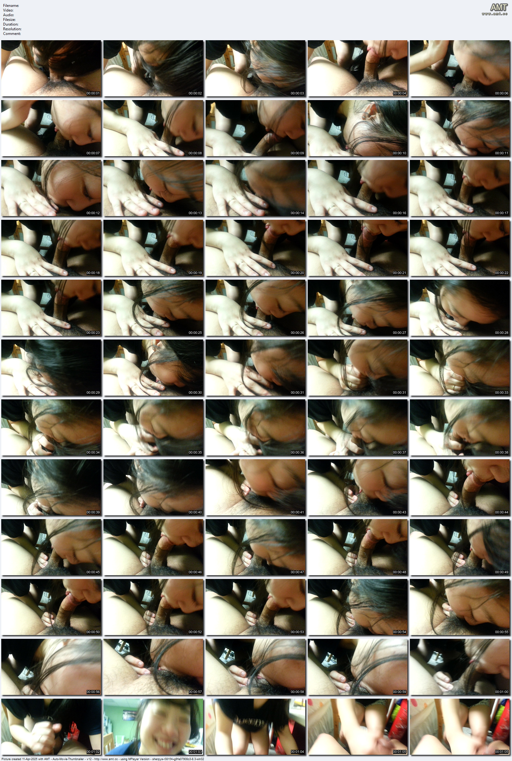 2013040831-mp4