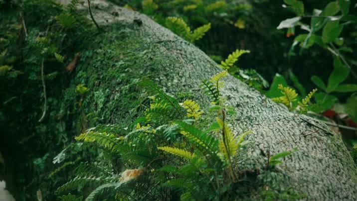 [Image: kd52xx72mnxg.jpg]