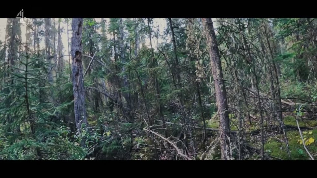 [Image: 14hy9ukc2frk.jpg]