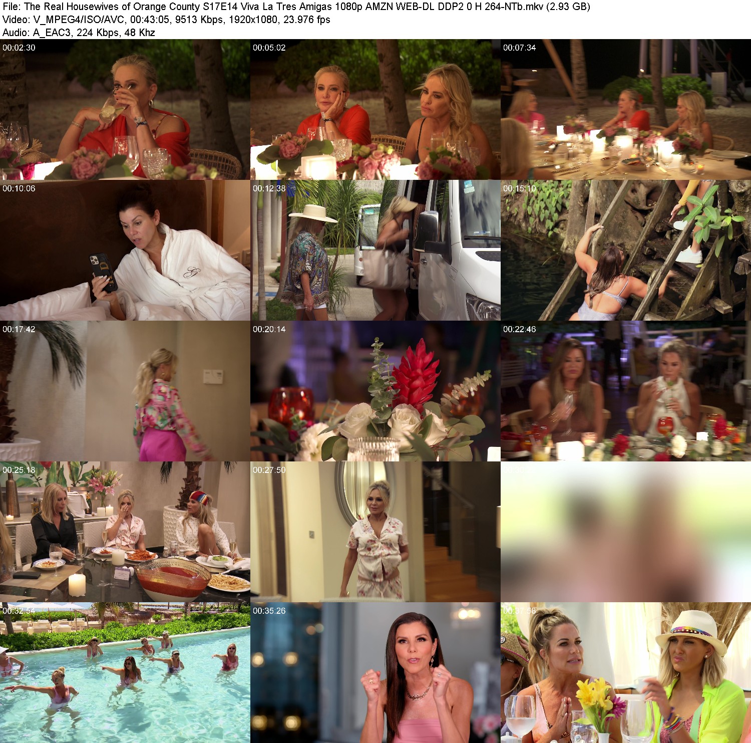 [Image: qqu3y90wt4qh.jpg]