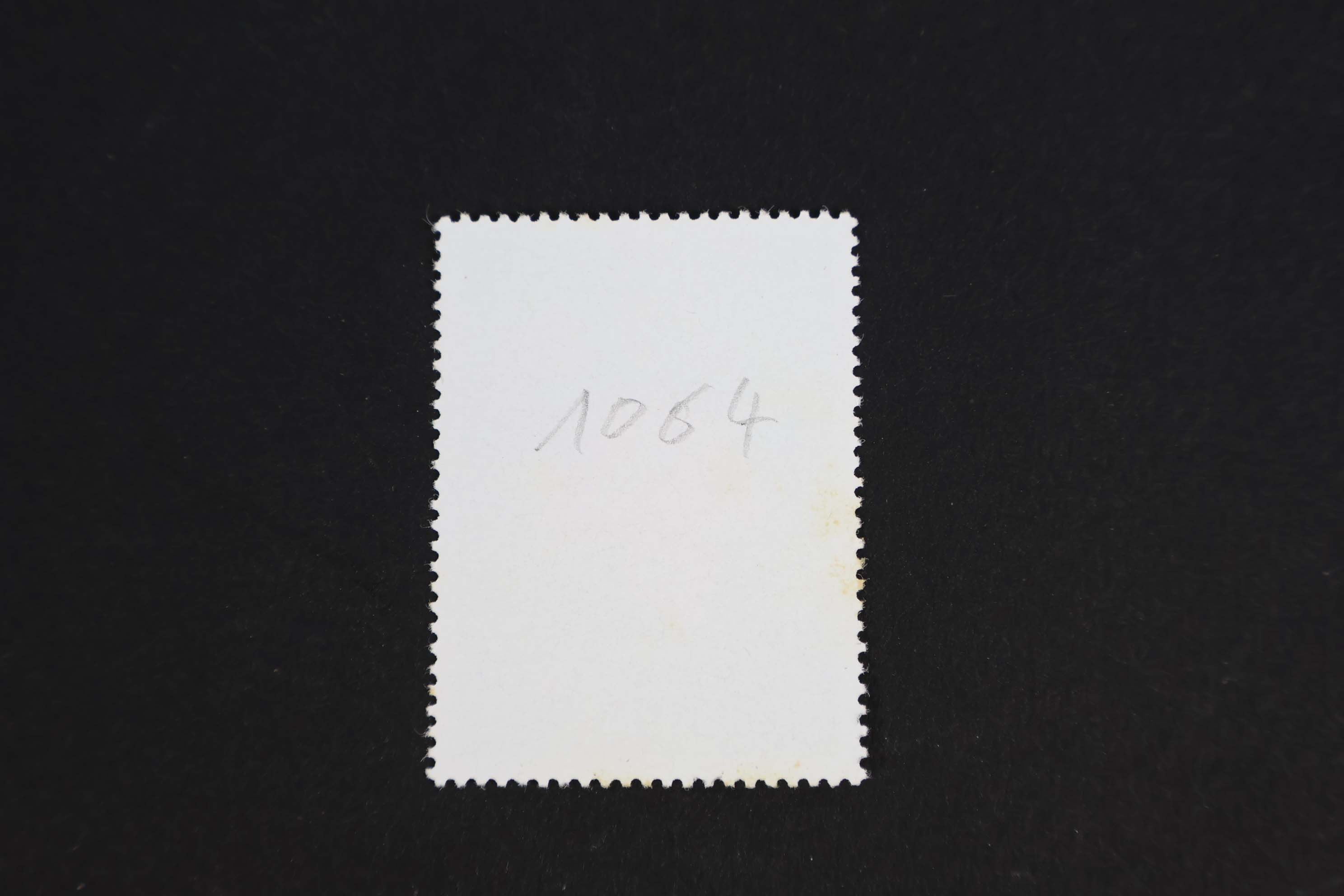 IMG-3633