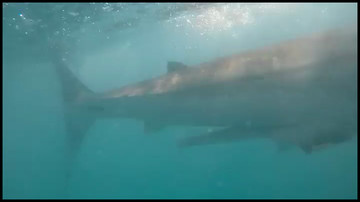 [Image: k06snopfg80h.png]