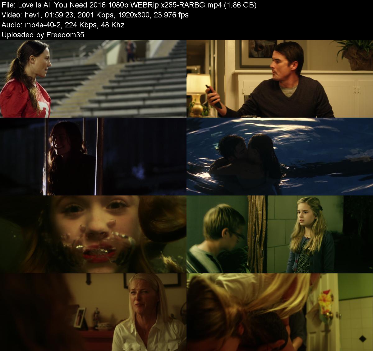 Love-Is-All-You-Need-2016-1080p-WEBRip-x