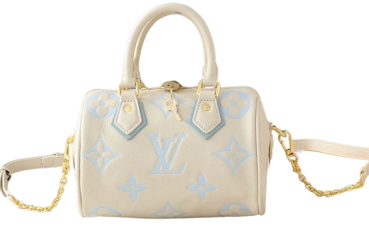 Louis Vuitton Louis Vuitton Bag — Accessories find on BoonBuy Finds