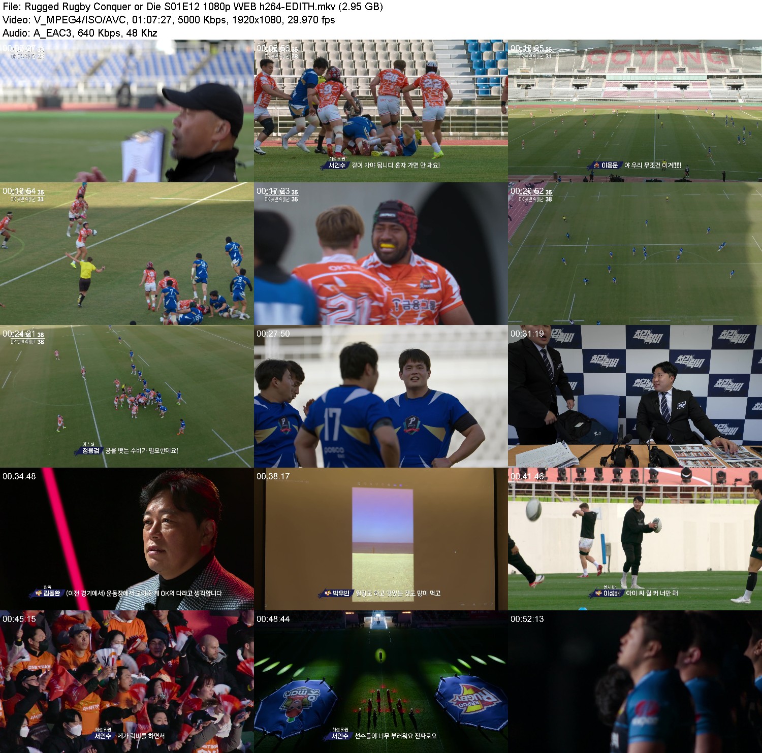 [Image: o3vp5qy7ea9z.jpg]