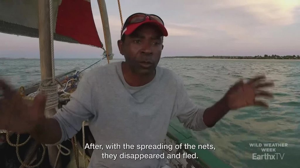 [Image: yb00q5rq1cqr.jpg]