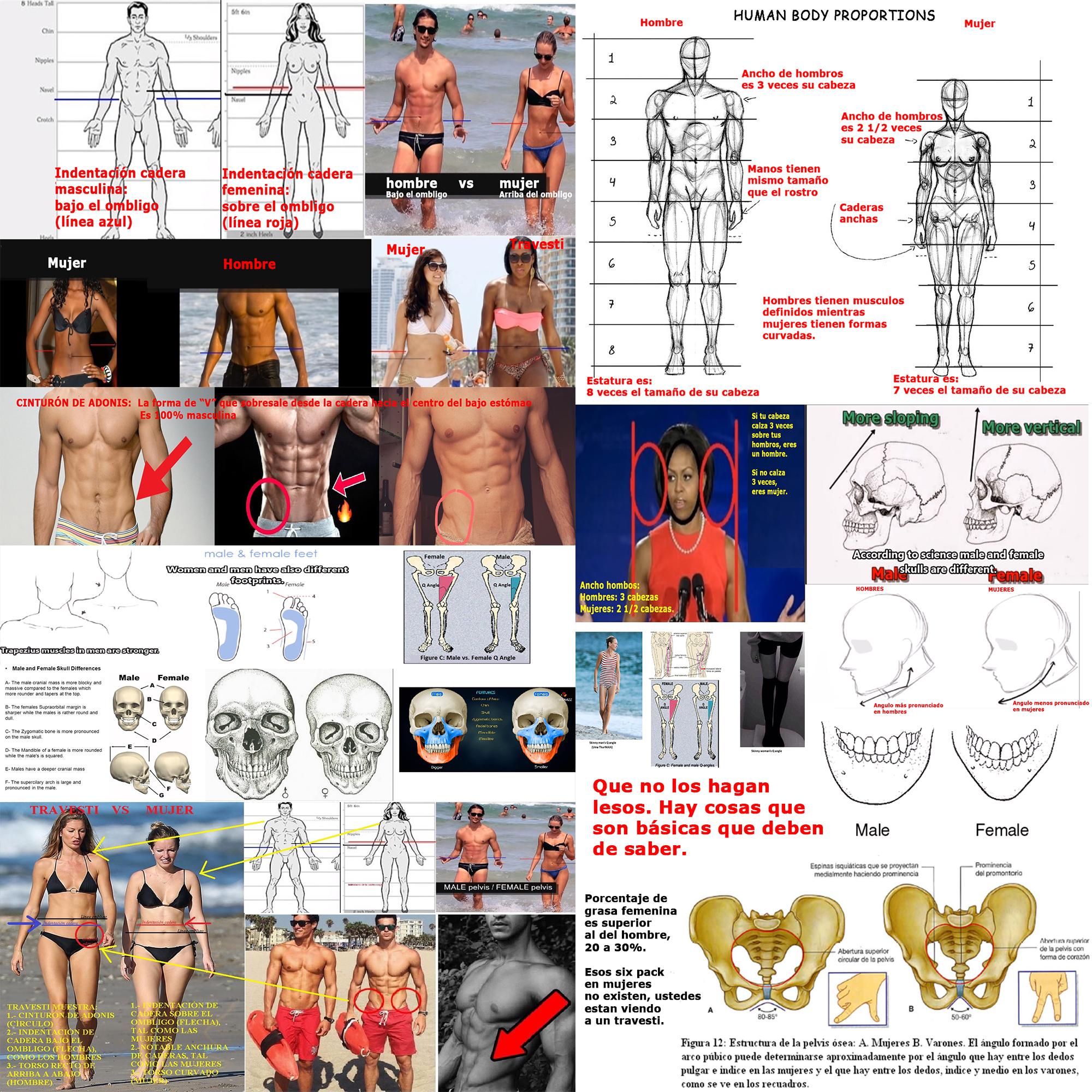 Medidas-trans-b-sico.jpg