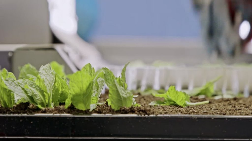 [Image: 8ebtm7vq8wv6.jpg]