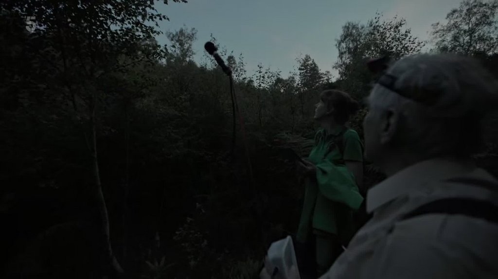 [Image: sh8uhdurx102.jpg]