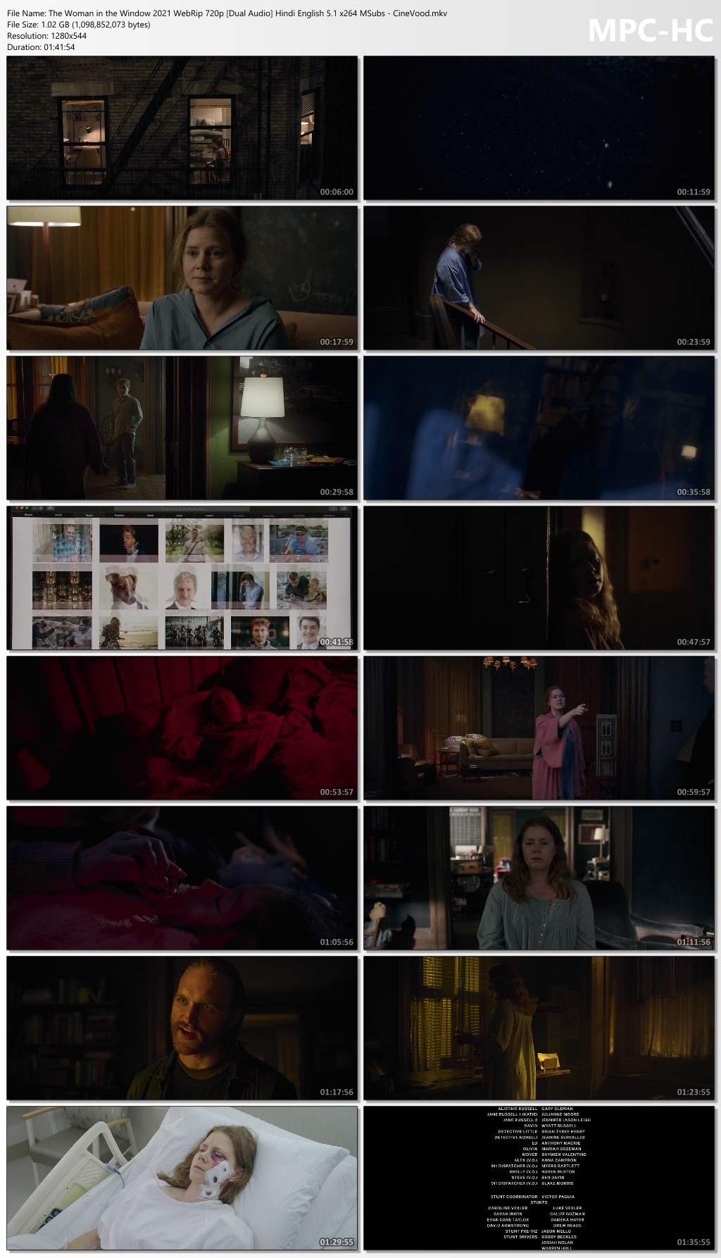 The Woman in the Window (2021) Rip 720p 480p [Dual Audio] Hindi