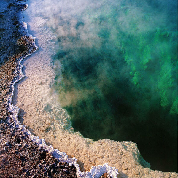 [Image: glk86e6qqs7r.jpg]