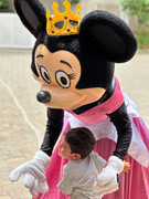 WhatsApp Image 2024-01-29 at 16.25.31