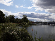20250620-115547.jpg