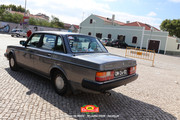 IMG-6904