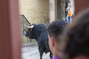 IMG-0045