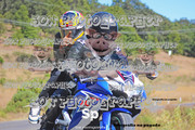 IMG-3041