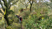 IMG-20260117-115723