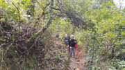 IMG-20260117-120315