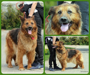 Be-Funky-collage-17.jpg&key=d6fd27f5e672