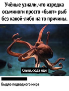 6582360834e219d60b3bae8e8c78858f.jpg