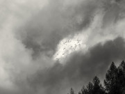 PA293191