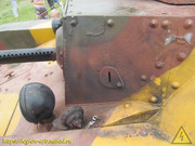 IMG-6623
