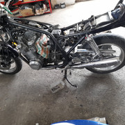20210614-111255.jpg