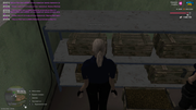 UKRAINE-GTA-03-09-2025-20-45-29-(1)