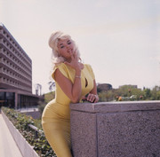 jayne-mansfield-h44