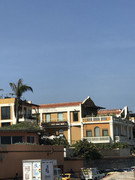 IMG-8788