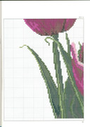 376117-30b85-96283141-ud0cf1