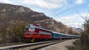 IMG-2239