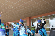 IMG-0382