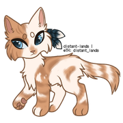 orange bicolor tabby