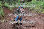 IMG-6589