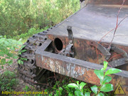 IMG-6158
