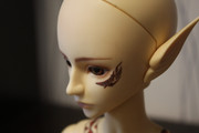 IMG-8320