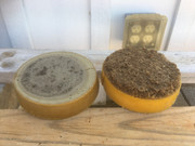 42E7612E-7DFF-4773-9058-9F2D9C232FF6