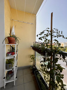 IMG-7158