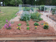 2023-06-20 New bed planted [1]